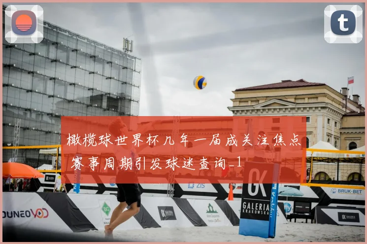 橄榄球世界杯几年一届成关注焦点 赛事周期引发球迷查询_1