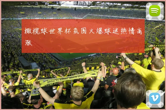 橄榄球世界杯氛围火爆球迷热情高涨