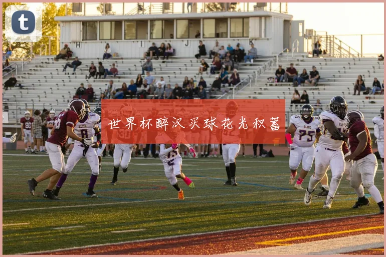 世界杯醉汉买球花光积蓄